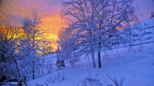Aurore sous la neige