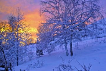 Aurore sous la neige
